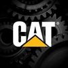cat32378